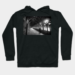 Lincoln Cathedral Cloisters Remembering Lost Ones Hoodie